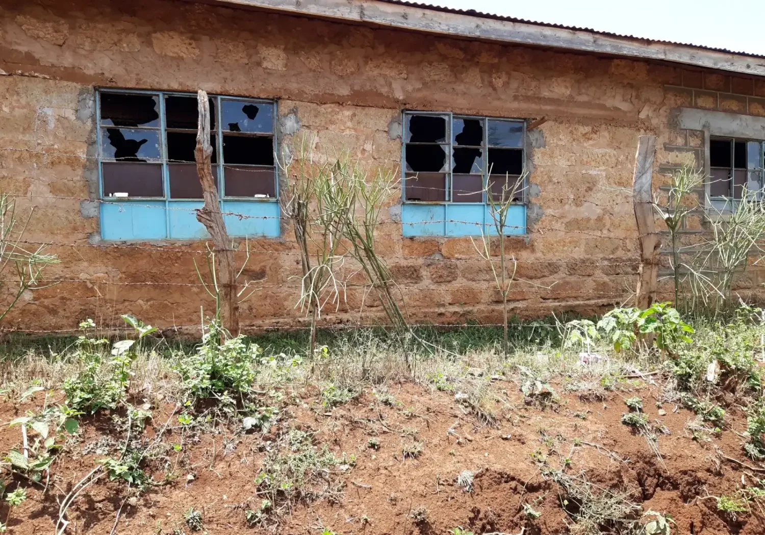 Old building with broken windows and plants.